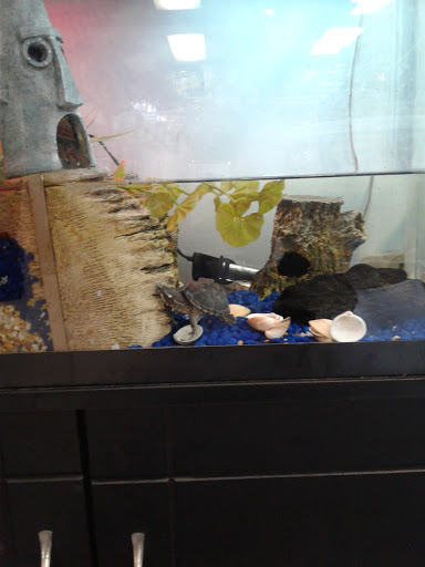 Pet Supply Store «Pet World», reviews and photos, 6527 Centralia Rd, Chesterfield, VA 23832, USA