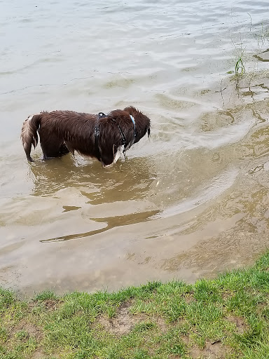 Dog Park «Dog Park», reviews and photos, 9068-9156 Wheatsheaf Rd, Morrisville, PA 19067, USA