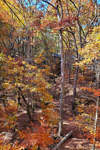 Tourist Attraction «ZipZone Canopy Tours», reviews and photos, 7925 N High St, Columbus, OH 43235, USA