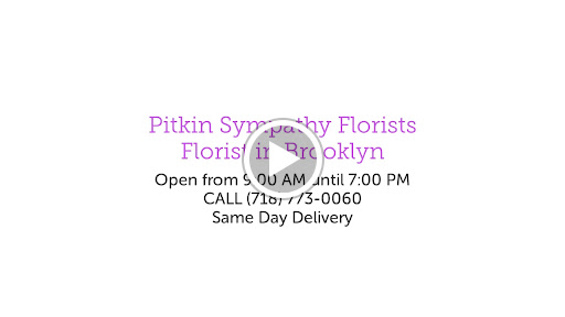 Florist «Pitkin Sympathy Florists», reviews and photos, 2153 Pitkin Ave, Brooklyn, NY 11207, USA