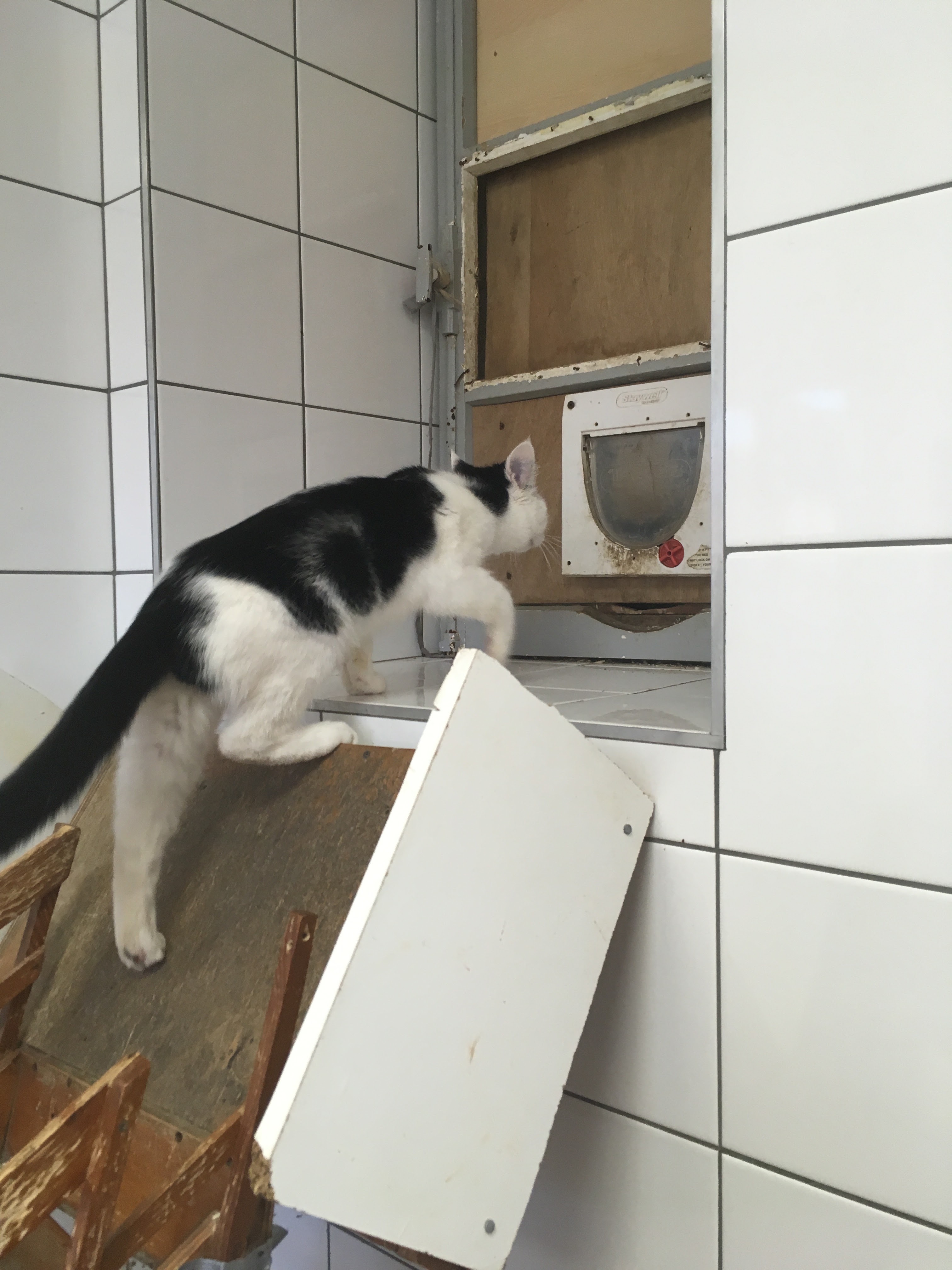 Photo n° 1 de l'avis de Valentin. fait le 24/02/2019 à 13:09