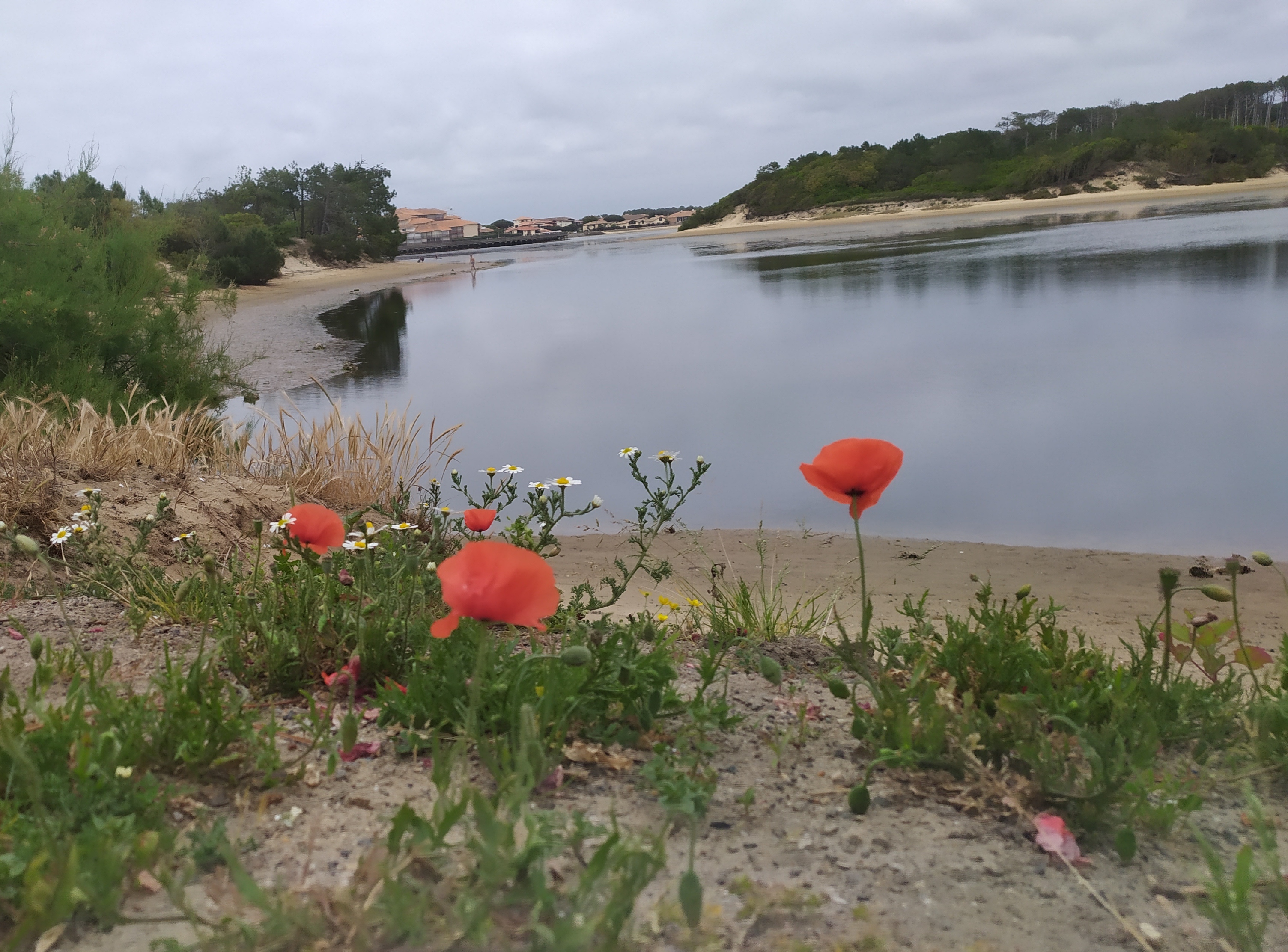 Photo n° 2 de l'avis de Gilles.e fait le 06/06/2022 à 18:53