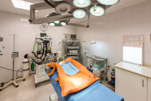 Clínica Veterinaria Pi Gros en Castellón de la Plana