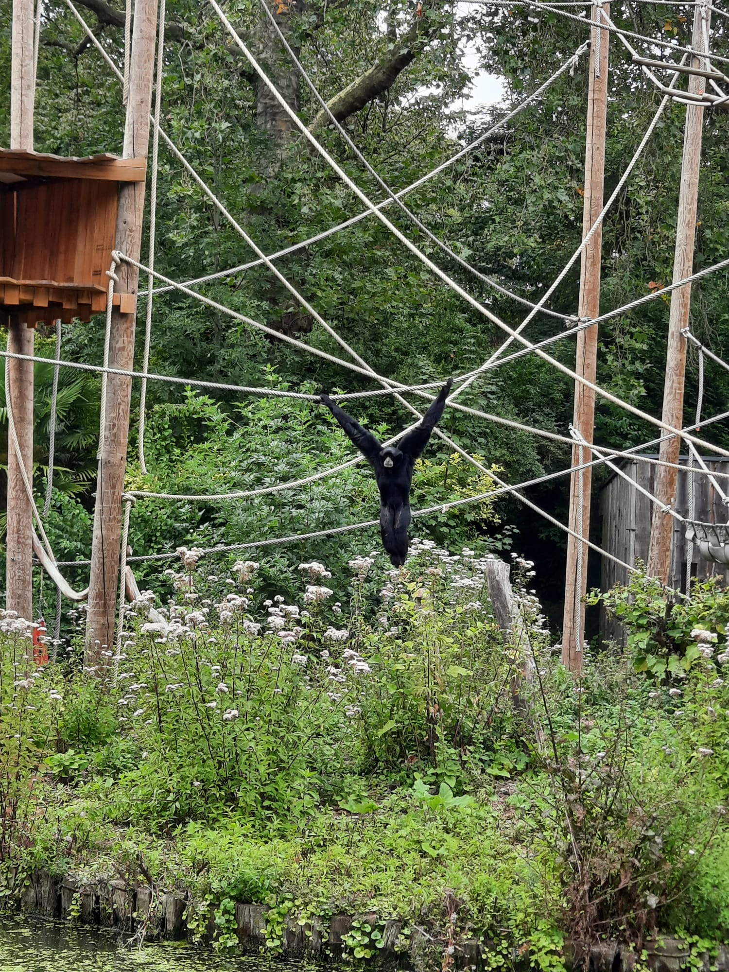 Photo n° 4 de l'avis de Sylvie. fait le 20/08/2023 à 06:35