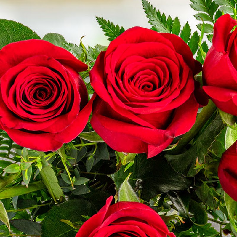 Schnucks Overland Floral