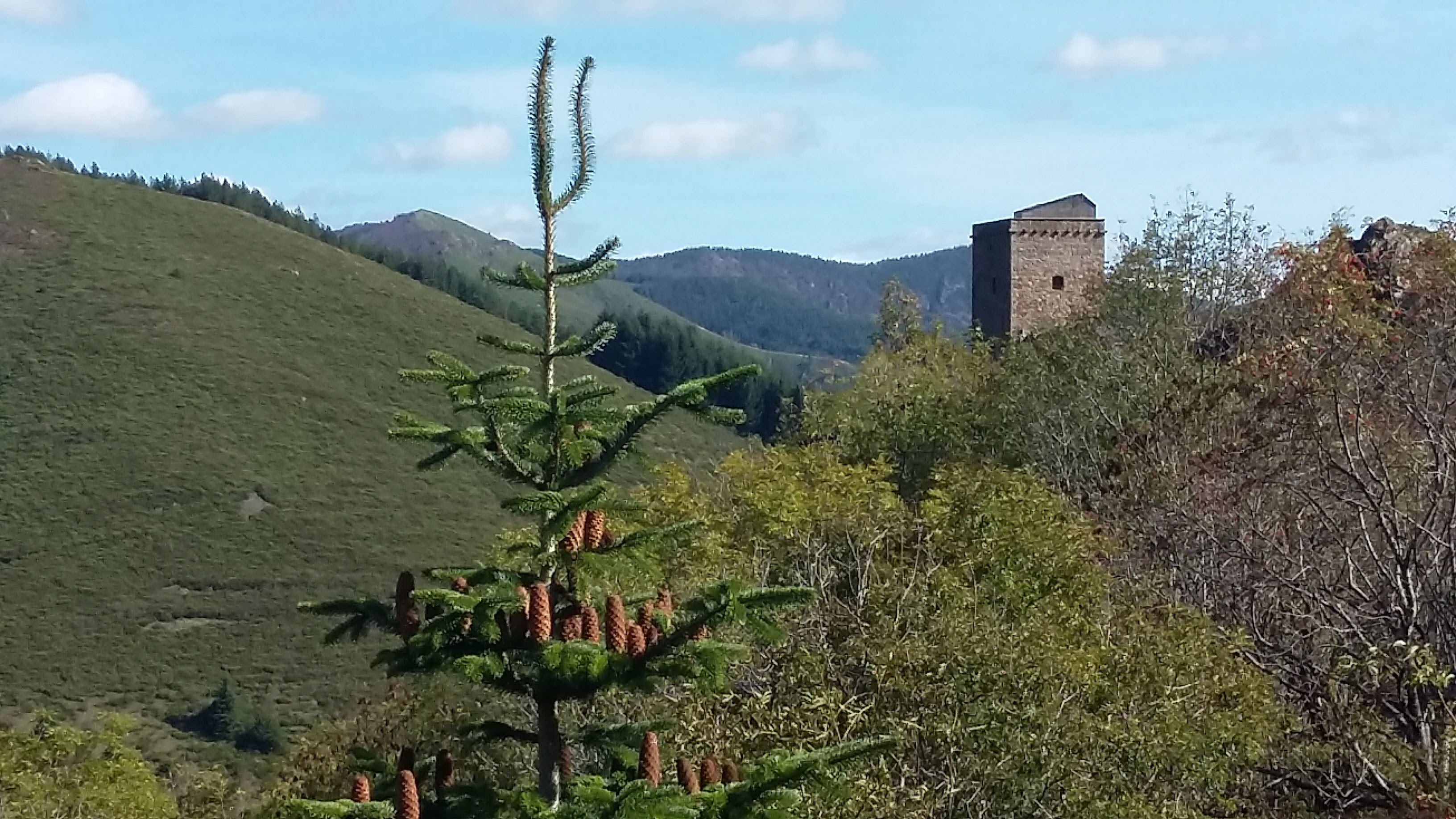 Photo n° 1 de l'avis de Enée.e fait le 07/10/2020 à 15:22