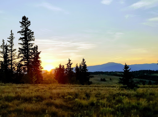 Museum «Manitou Cliff Dwellings», reviews and photos, 10 Cliff Rd, Manitou Springs, CO 80829, USA