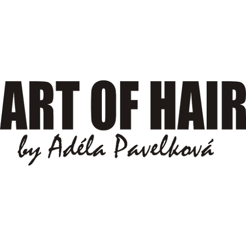 Komentáře a recenze na ART OF HAIR by Adéla Pavelková