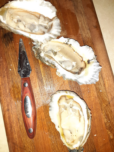 Ship Point Oyster Company