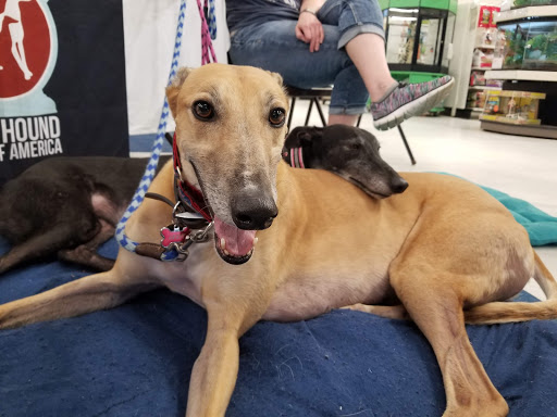 Pet Supply Store «Petco Animal Supplies», reviews and photos, 2277 Ford Pkwy, St Paul, MN 55116, USA