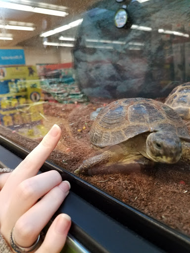 Pet Supply Store «Petco Animal Supplies», reviews and photos, 10 Sylvan St, Peabody, MA 01960, USA