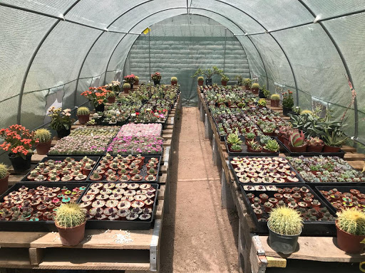 Elite Garden Mexicali