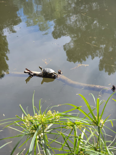 Park «Ernest E. Debs Regional Park», reviews and photos, 4235 Monterey Rd, Los Angeles, CA 90032, USA