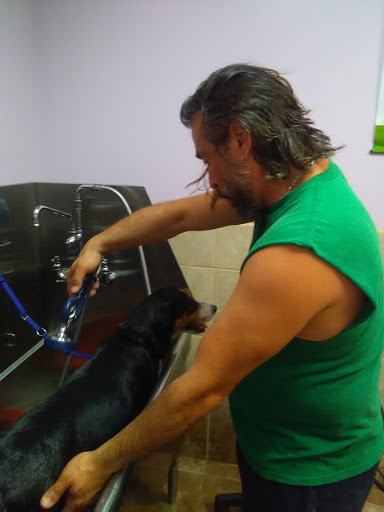 Pet Adoption Service «Pet Things», reviews and photos, 6880 Douglas Blvd E, Douglasville, GA 30135, USA