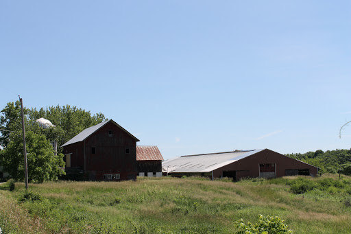 Fairground «Conservatory at the Sussex County Fairgrounds», reviews and photos, 37 Plains Rd, Augusta, NJ 07822, USA