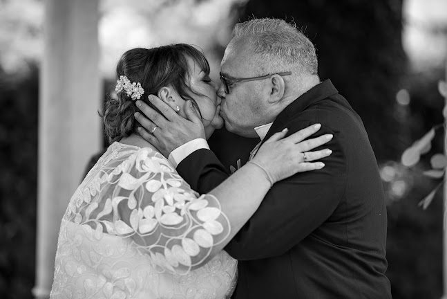 Comments and reviews of Jackson Wedding Photography