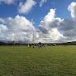 Redcar Rugby Union Football Club