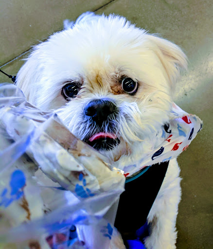 Pet Supply Store «Petco Animal Supplies», reviews and photos, 366 Kroger Way, Versailles, KY 40383, USA