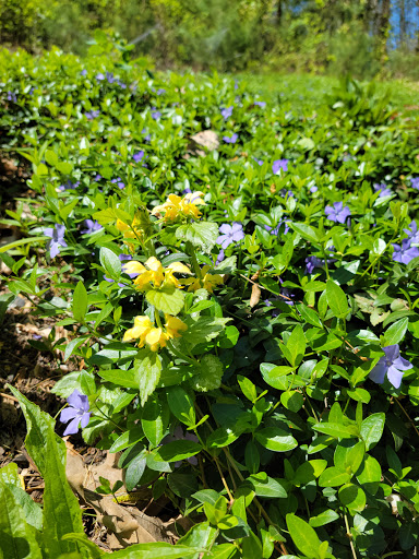 Winery «Halbrendt Vineyard & Winery», reviews and photos, 1150 Evergreen Way, Orrtanna, PA 17353, USA