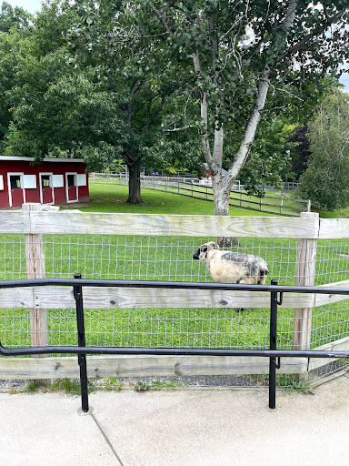 Park «Barnyard Zoo», reviews and photos, 127 Green Hill Pkwy, Worcester, MA 01605, USA