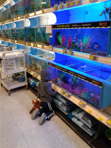 Pet Supply Store «PetSmart», reviews and photos, 1013 W University Ave, Georgetown, TX 78628, USA