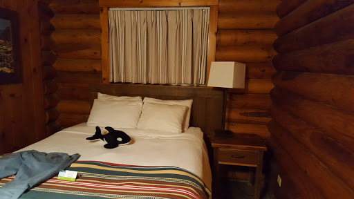 National Park «Olympic National Park», reviews and photos, 3002 Mt Angeles Rd, Port Angeles, WA 98362, USA