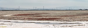 San Mateo-Hayward Bridge - photo 61