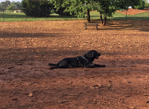 Park «Swift Cantrell Park», reviews and photos, 3140 Old 41 Hwy NW, Kennesaw, GA 30144, USA