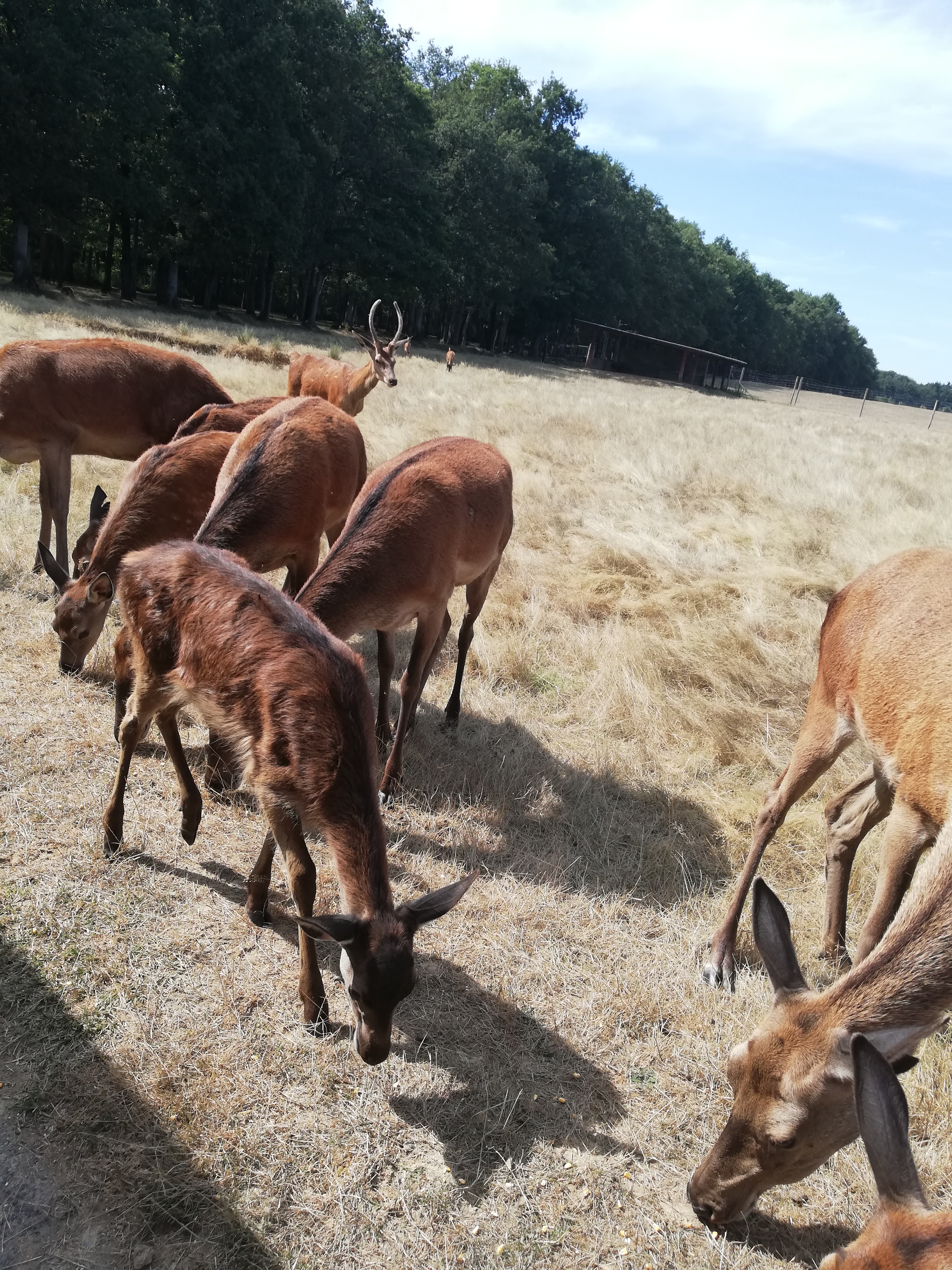 Photo n° 14 de l'avis de Severine.e fait le 23/08/2019 à 23:18