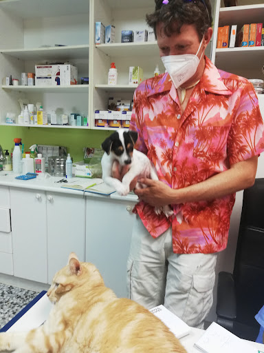 Consultorio Veterinario Lo Pagan en San Pedro del Pinatar