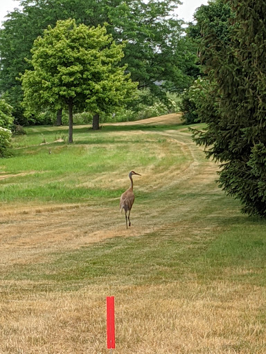 Golf Club «Whisper Creek Golf Course», reviews and photos, 12840 Del Webb Blvd, Huntley, IL 60142, USA