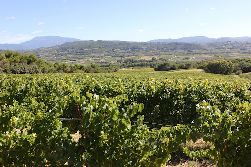 Domaine VALLOT - Le Coriançon à Vinsobres