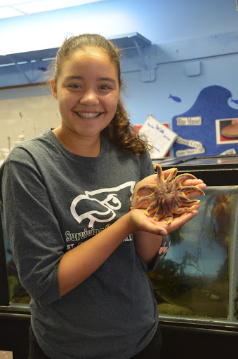 Aquarium «Explore the Ocean World, llc Oceanarium», reviews and photos, 367 Ocean Blvd, Hampton, NH 03842, USA