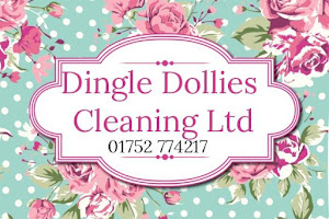 Dingle Dollies Cleaning Ltd