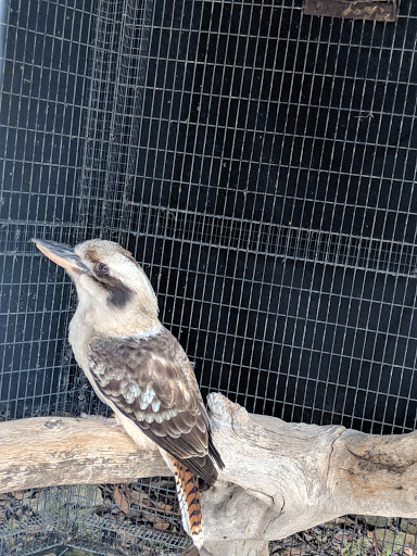 Zoo «Alligator Adventure», reviews and photos, 4604 Hwy 17 S, North Myrtle Beach, SC 29582, USA