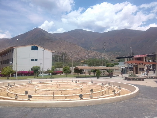 Universidad Nacional Hermilio Valdizán