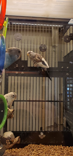 Pet Supply Store «PetSmart», reviews and photos, 8105 Moores Ln Ste 1300, Brentwood, TN 37027, USA