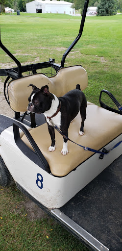 Golf Course «Mills Creek Golf Course», reviews and photos, 1933 Mills St, Sandusky, OH 44870, USA