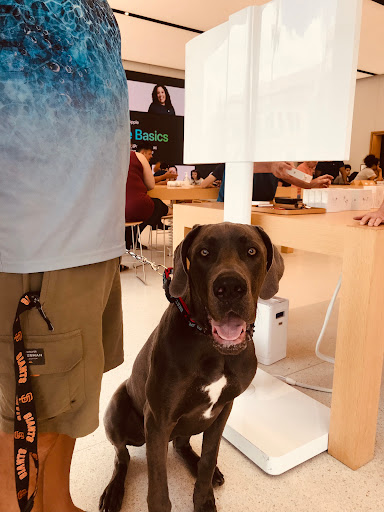 Computer Store «Apple Country Club Plaza», reviews and photos, 227 Nichols Rd, Kansas City, MO 64112, USA