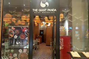 The Giant panda image