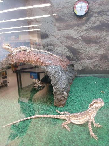 Pet Supply Store «Petco Animal Supplies», reviews and photos, 1080 S Main St, Kernersville, NC 27284, USA