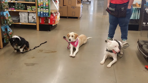 Pet Supply Store «Petco Animal Supplies», reviews and photos, 8966 S Broadway Ave #112, Tyler, TX 75703, USA