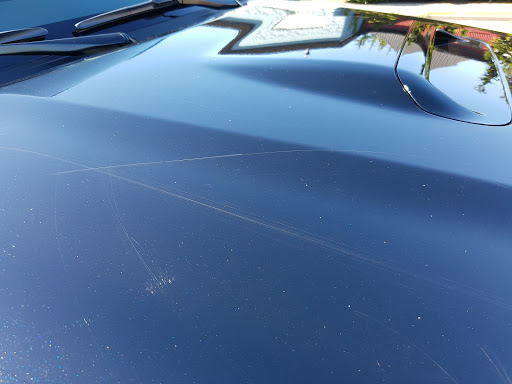 Dynamic Shine, 650 W 41st Ave, Vancouver, BC V5Z 2M9, Canada, 