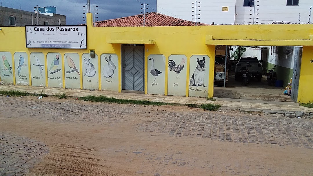 Casa dos pássaros Cosme e Damião