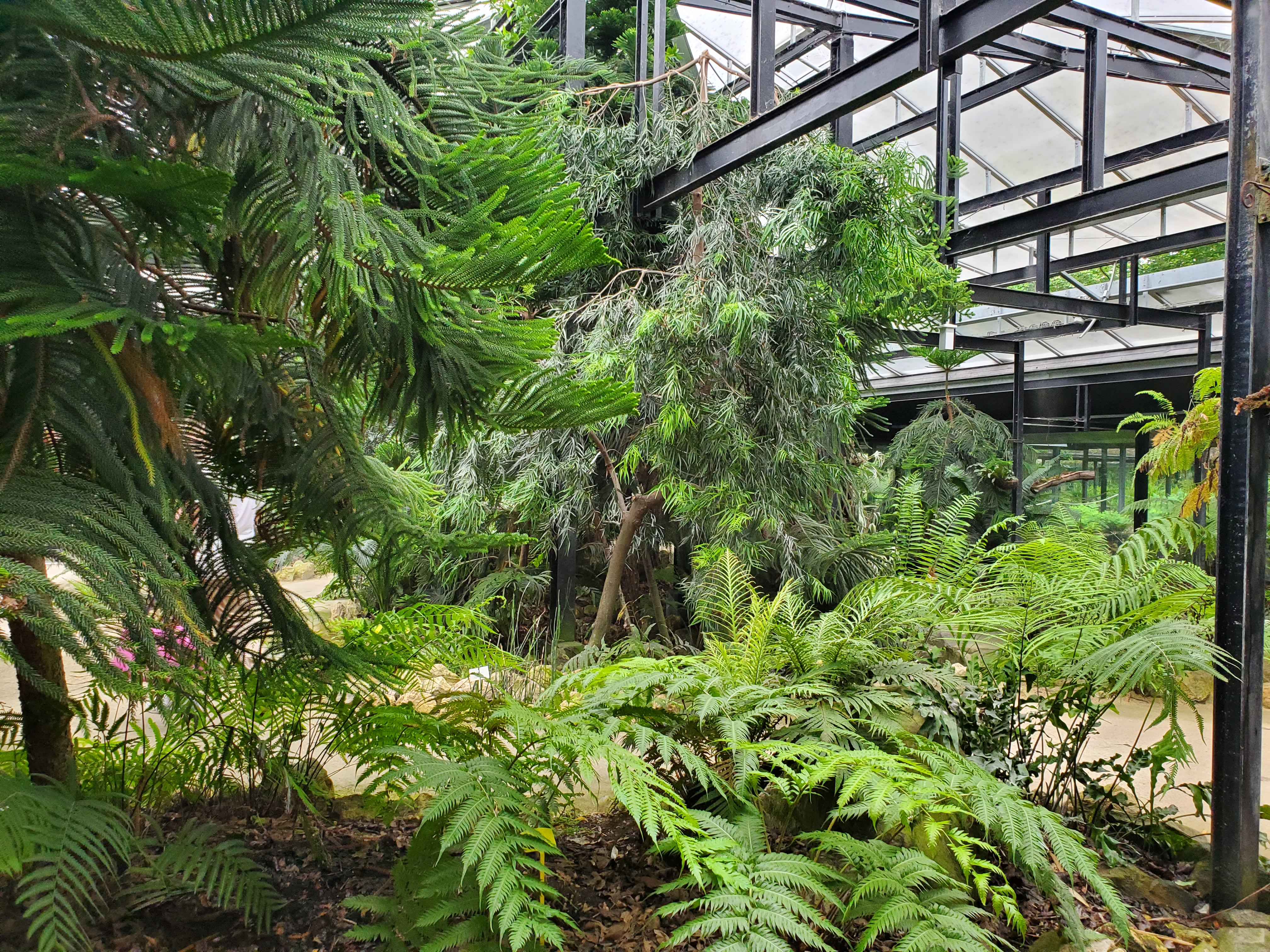 Photo n° 8 de l'avis de Fabienne.a fait le 21/07/2023 à 10:09