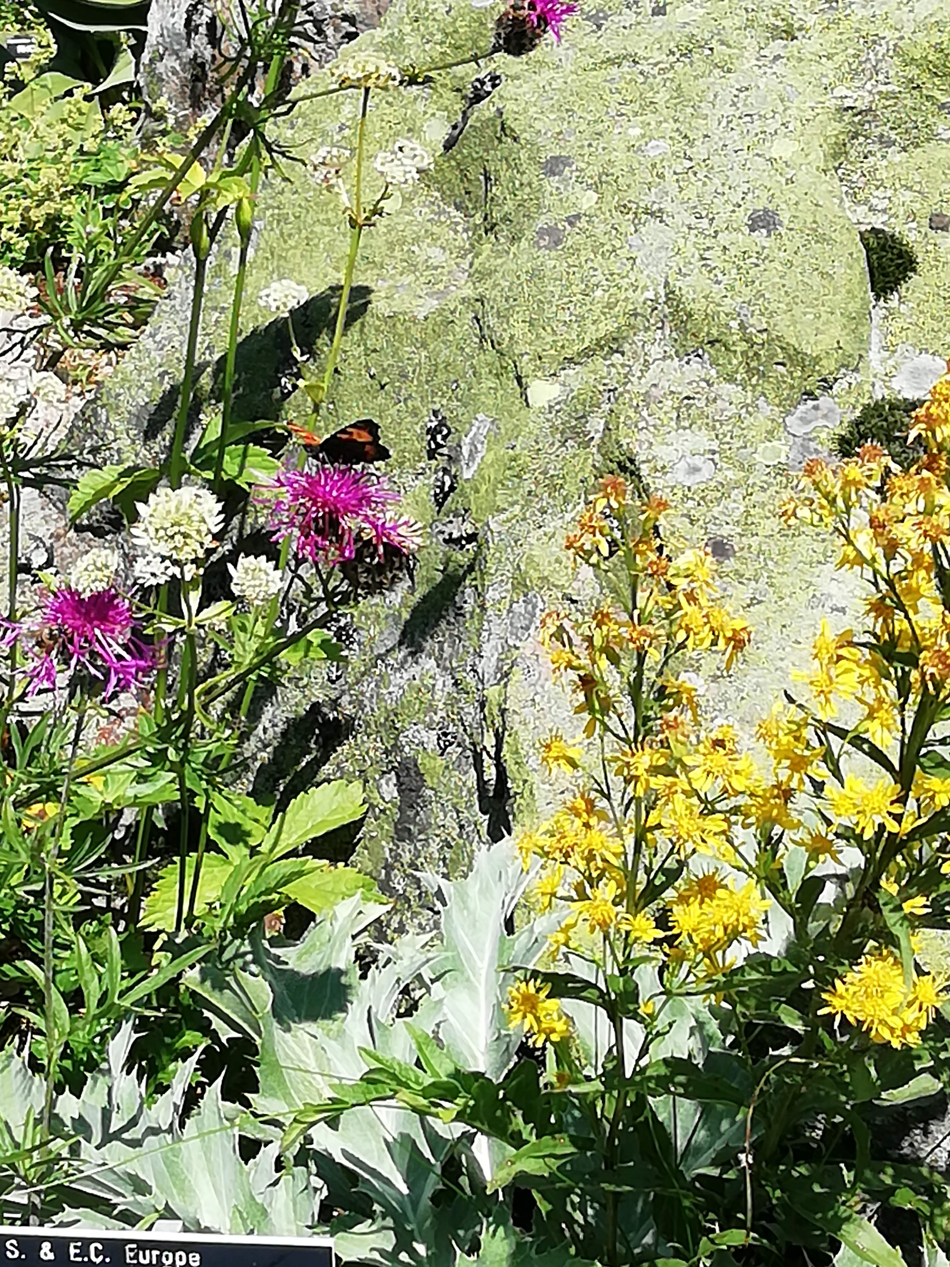Photo n° 1 de l'avis de DELASSAULT.t fait le 14/08/2021 à 16:25