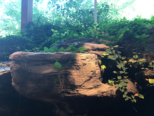 Natural History Museum «The Witt Stephens Jr. Central Arkansas Nature Center», reviews and photos, 602 President Clinton Ave, Little Rock, AR 72201, USA