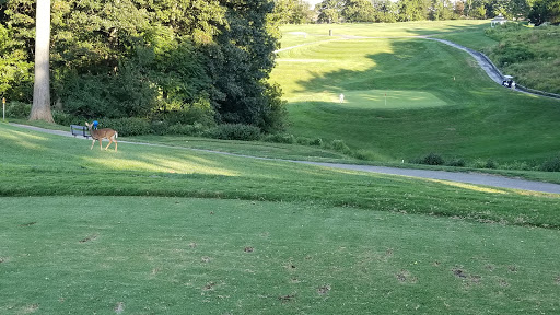 Golf Course «Springfield Twp Golf Course», reviews and photos, 400 W Sproul Rd, Springfield, PA 19064, USA