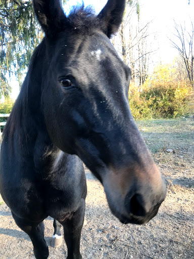 State Park «Winding Hills County Park», reviews and photos, 1847 NY-17K, Montgomery, NY 12549, USA