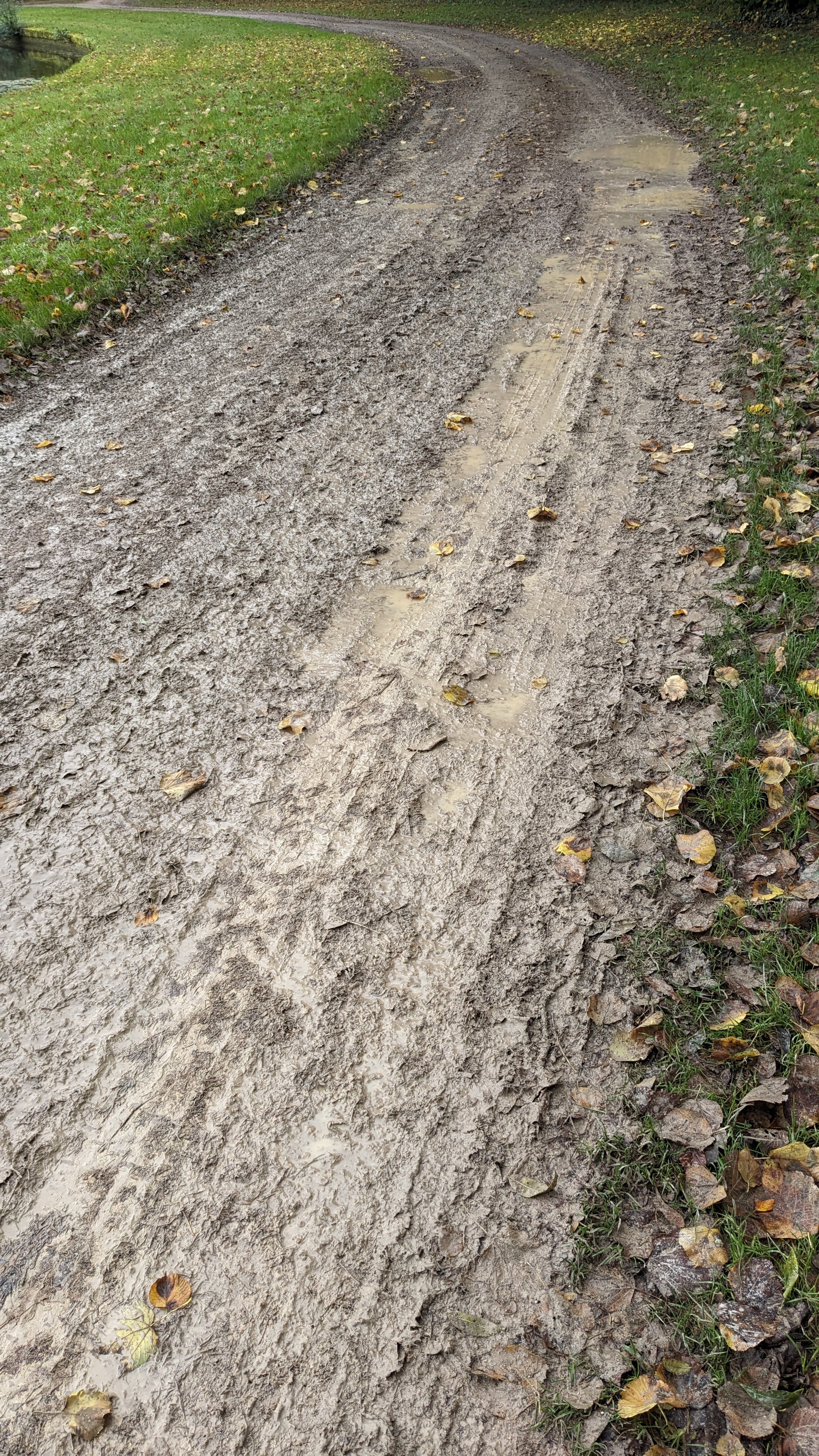Photo n° 1 de l'avis de Grégory.g fait le 28/10/2023 à 17:54